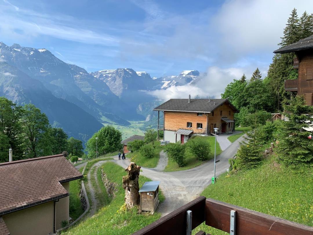 Revier Silberwiidae-Galerie Apartment Braunwald Bagian luar foto